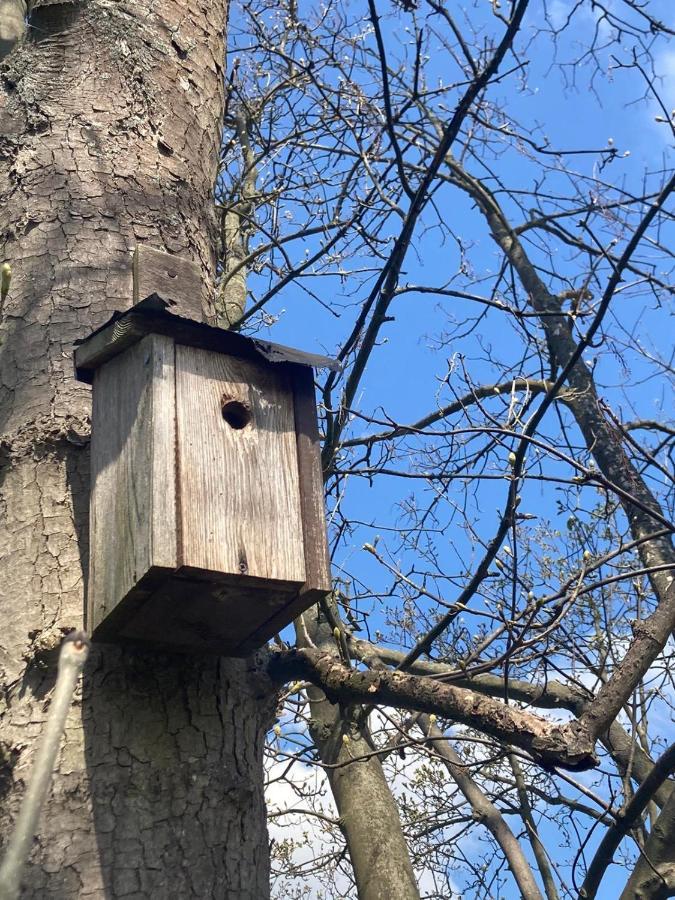 Familienfreundliche Unterkunft Direkt Am Nationalpark Unteres Odertal Criewen Exterior photo