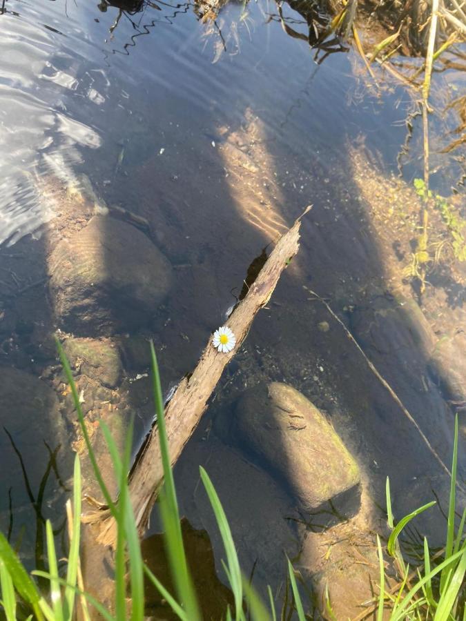 Familienfreundliche Unterkunft Direkt Am Nationalpark Unteres Odertal Criewen Exterior photo