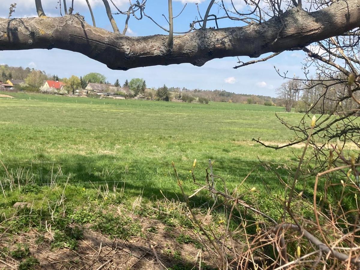 Familienfreundliche Unterkunft Direkt Am Nationalpark Unteres Odertal Criewen Exterior photo